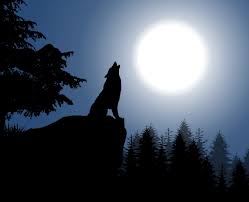 Silhouette of howling wolf against dark toned foggy background and full moon or wolf in silhouette howling to the full moon. Moon Wolf Silhouette Howling Free Image On Pixabay