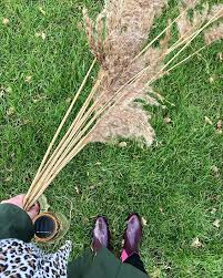 Ich Bin Wieder Angekommen Zu Hause Habe Einen Gartenrundgang Gemacht Und Kurz Von Einer Fasssauna Getraumt Oder Einem Gartenha In 2020 Ll Bean Boot Bean Boots Ll Bean