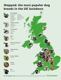 However most insurance companies do have coverage answerare you talking about farmers insurance exchange, the company, or insurance policies that farmers buy? The Price Of Pandemic Pets Gocompare