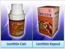 Hasil gambar untuk lecithin nasa