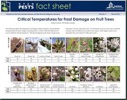 Home Orchard Management Royal Oak Farm Orchard 2014