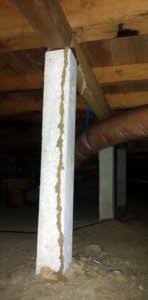 Welcome to assured building and pest inspections. Active Termites White Ants Termite Control Termite Nests