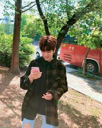 Idol As Your Kpop Male Idols Stray Kids Seungmin Boyfriend Material Lee Know