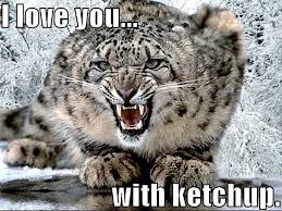Animal Humor Photo Snow Leopard Funny Snow Leopard Pictures Leopard Pictures Snow Leopard