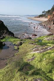 Make sure your site meets your camping needs. Cape Lookout State Park And Its Beaches Three Capes Loop Virtual Tour Oregon Coast