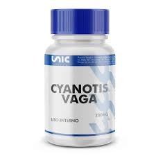 Image result for Cyanotis vaga