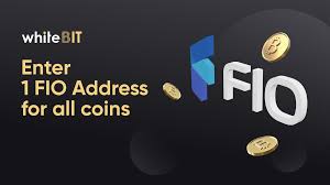 Fio is an i/o testing tool that will spawn a number of threads or processes doing a particular type of i/o action as specified by the user: Fio Address A Single Identifier For Multiple Coins By Whitebit Whitebit Medium