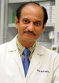 Rakesh Kumar, Ph.D., Elected to Advisory Board of Russian National Research  Center
