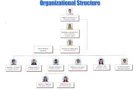 Organizational Chart Cagayan State University Library