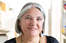 Microbiology Research Areas