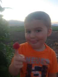 Paradise Valley Farms, LLC