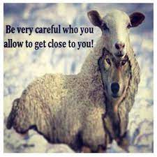 More images for wolf in sheep's clothing quotes » Sheep In Wolfs Clothing Quotes Quotesgram