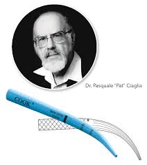 Image result for Trachyandra burkei