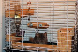 About 7% of these are pet cages a wide variety of metal chinchilla cages options are available to you, such as material, feature, and closure. How To Make Your Own Chinchilla Ledges Pethelpful