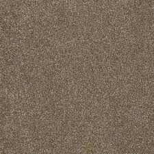 We'd love to see our products in your home. Stainmaster Petprotect Baxter Iii Dachshund Carpet Sample Brickseek