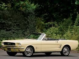 Image result for Springtime Yellow 1966 Mustang