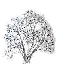 Draw twigs extending from the tree limb, using pairs of wavy lines. How To Draw A Tree Happy Family Art