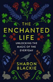 Sam killermann is a comedian and social justice facilitator who got his start in university . The Enchanted Life Unlocking The Magic Of The Everyday Blackie Sharon 9781487004071 Amazon Com Books