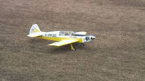 The dalotel 1500 is the smaller version of the legendary aerobatic model with which hanno prettner won three of his eight championships at the international las vegas tournament of champions (toc). Dalotel Dm 165 Wmv Youtube