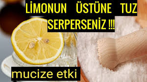 Uzerine Tuz Serpilmis Bir Limonu Odanizda Bekletin Hayatiniz Degisecek Limon Tuz Saglik