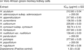 Image result for Helichrysum panduratum