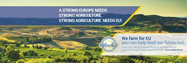 Copa Cogeca Website