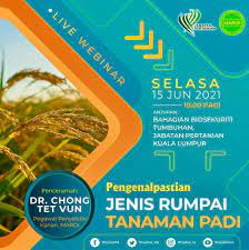 Kejayaan projek pertanian bandar ini adalah usaha dan komitmen yang tinggi oleh komuniti penduduk perumahan awam sri perlis 2 serta bimbingan dan tunjuk. Jabatan Pertanian Malaysia Photos Facebook