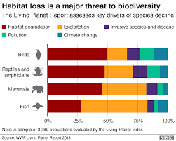 Natures Emergency Where We Are In Five Graphics Bbc News