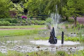 Perfekt für einen sommerlichen spaziergang durch die natur! Eghn Botanischer Garten Kerkrade