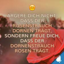 Beliebte Spruche Zitate Spruche Zitate Spruche Zitate