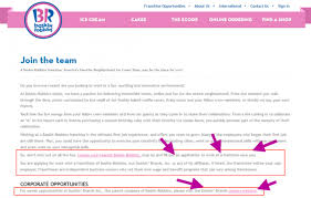 baskin robbins career guide  baskin