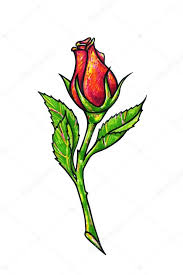 Closeup of rosetta flower drawing in foam. Red Rose Flower Drawing