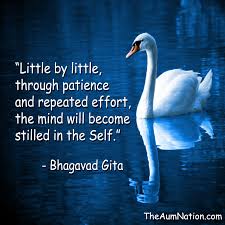 Little By Little Through Patience And Repeated Effort The Mind Will Become Stilled In The Self Bhagavad Gita Gita Quotes Hindu Quotes Geeta Quotes
