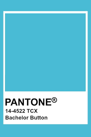 Bachelor Button Knopka Bakalavra Pantone Color Pantone Colour Palettes Pantone Blue