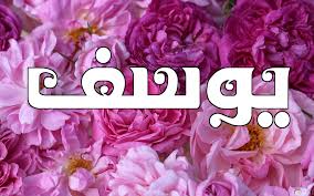 خلفيات باسم يوسف