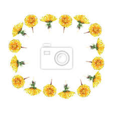 Cornice con bellissimo vaso di fiori. Bella Primavera Cornice Floreale Di Fiori Di Tarassaco Gialli Carta Da Parati Carte Da Parati Topview Ghirlanda Minimo Myloview It