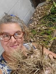 Wild Garlic at Stackpole Court.