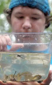 Discovering nature just like Tom