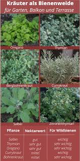 Ein Mini Hochbeet Fur Krauter Mit Krautern Bienen Unterstutzen Pflanzen Bepflanzung Hochbeet