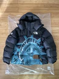 The policies and systems we have in place to protect you are called. Supreme The North Face Statue Of Liberty Baltoro Jacket Black Large Fw19 For Sale Online Ebay