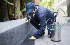 There are many diy ways of keeping pests away from your home but in some cases, it's. Pest Control In San Antonio Exterminators And Rodent Control Professionals