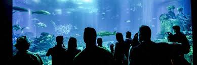 The 10 Best Hotels Close To Antalya Aquarium In Antalya Turkey