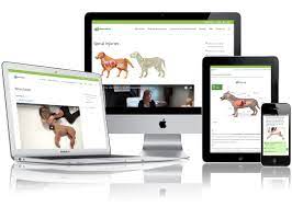 How to appropriately do dog/cat cpr & heimlich. Dog Cpr Course First Aid For Pets