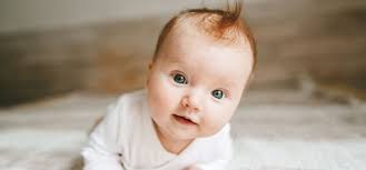 Muller, William J., MD, PhD