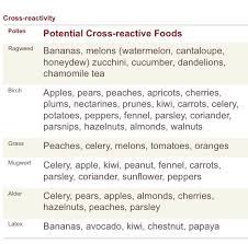 Banana, cantaloupe, cucumber, honey dew, watermelon, zucchini; Pin On Health Nutrition