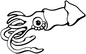 Best Squid Clipart 16977 Clipartion Com Octopus Coloring Page Coloring Pages Super Coloring Pages