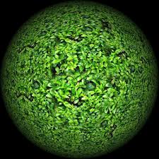 Maybe you would like to learn more about one of these? Servicii Mediu Cluj Evidente Deseuri Consultanta Mediu Cluj