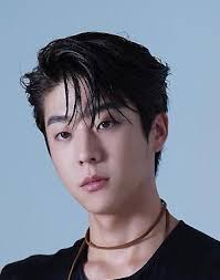 Chae Jong Hyeop (South Korean Actor) ⋆ Global Granary