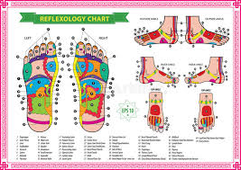 Reflexology Stock Illustrations 1 575 Reflexology Stock