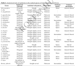 Image result for Bivinia jalbertii